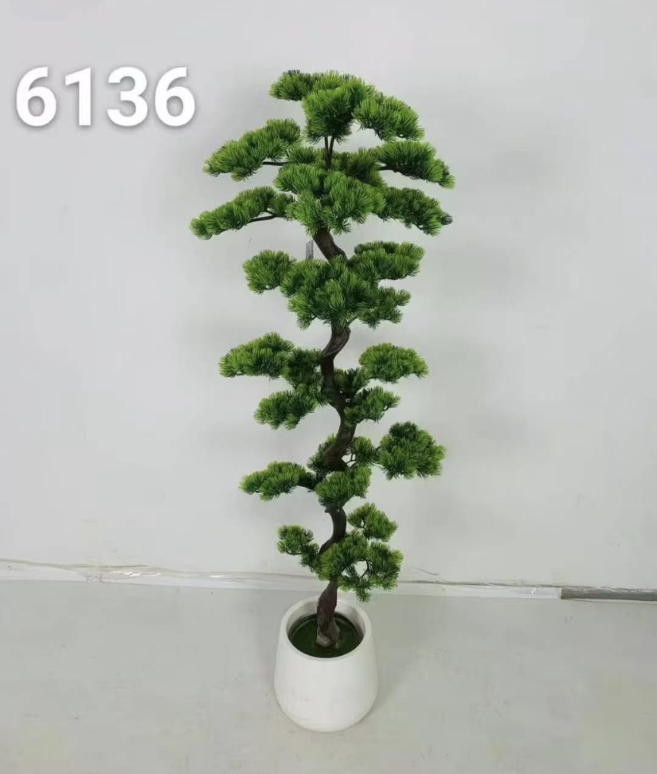 شجرة البونساي طول ١٦٠ سم