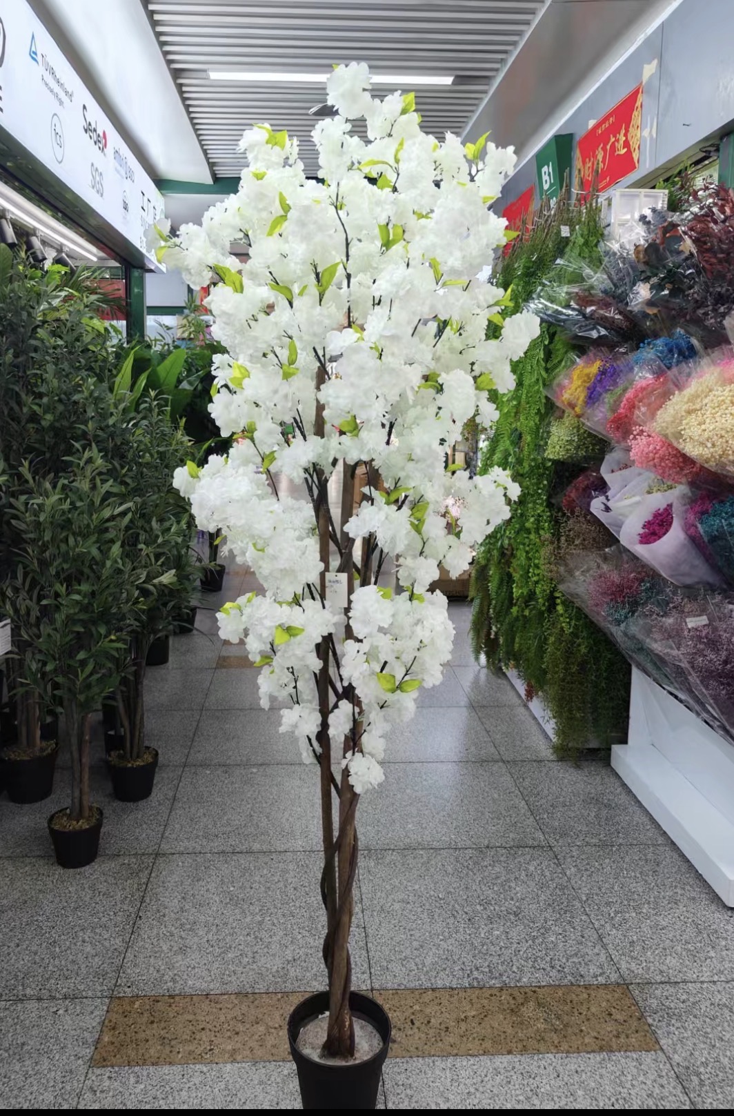 شجرة لوز غصون خشب طبيعي طول ١٦٠ سم